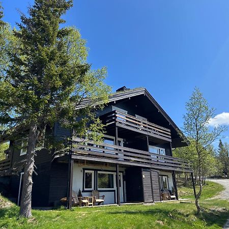 Ski Inn/Out - 4-Room Apartment W/3 Bedroom Gaustablikk Bagian luar foto