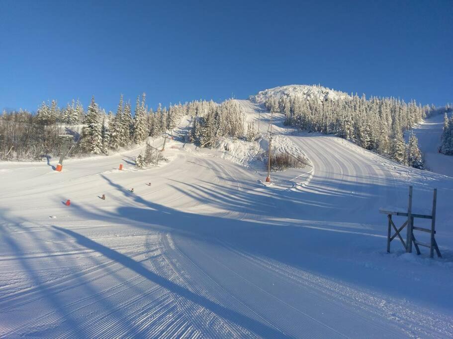Ski Inn/Out - 4-Room Apartment W/3 Bedroom Gaustablikk Bagian luar foto