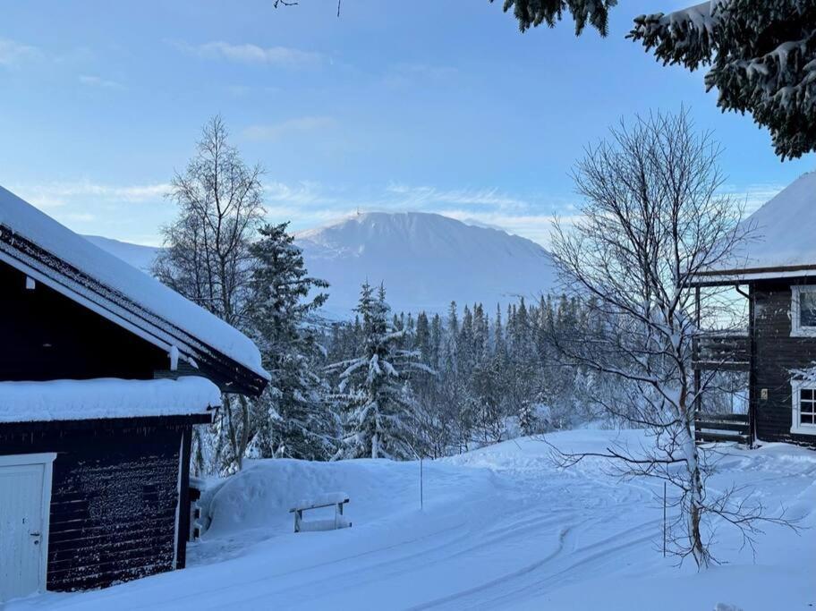 Ski Inn/Out - 4-Room Apartment W/3 Bedroom Gaustablikk Bagian luar foto